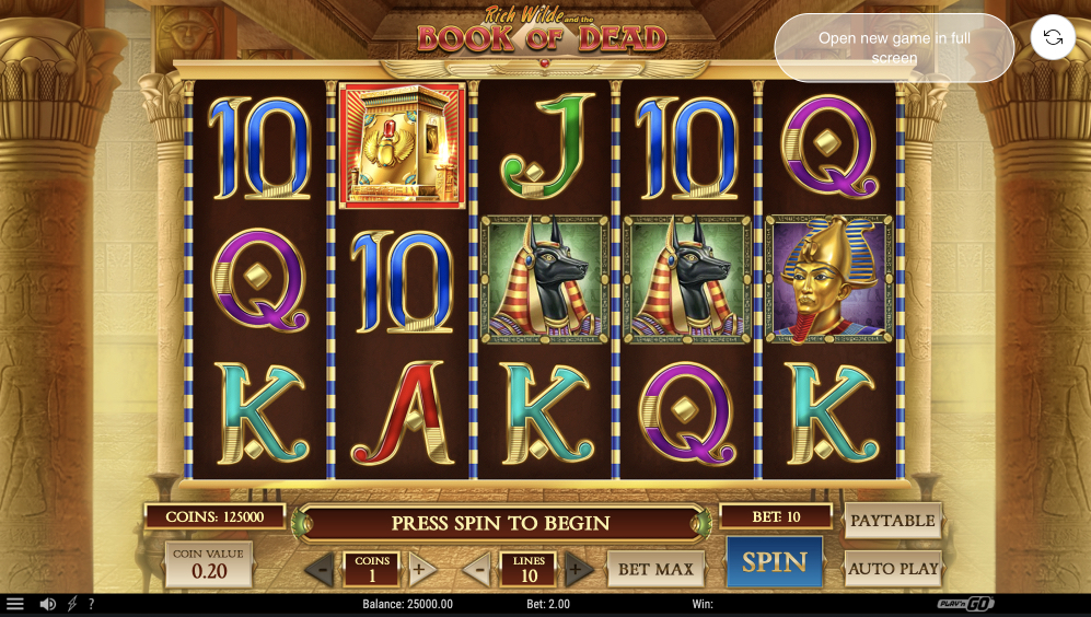 Book of Dead slot